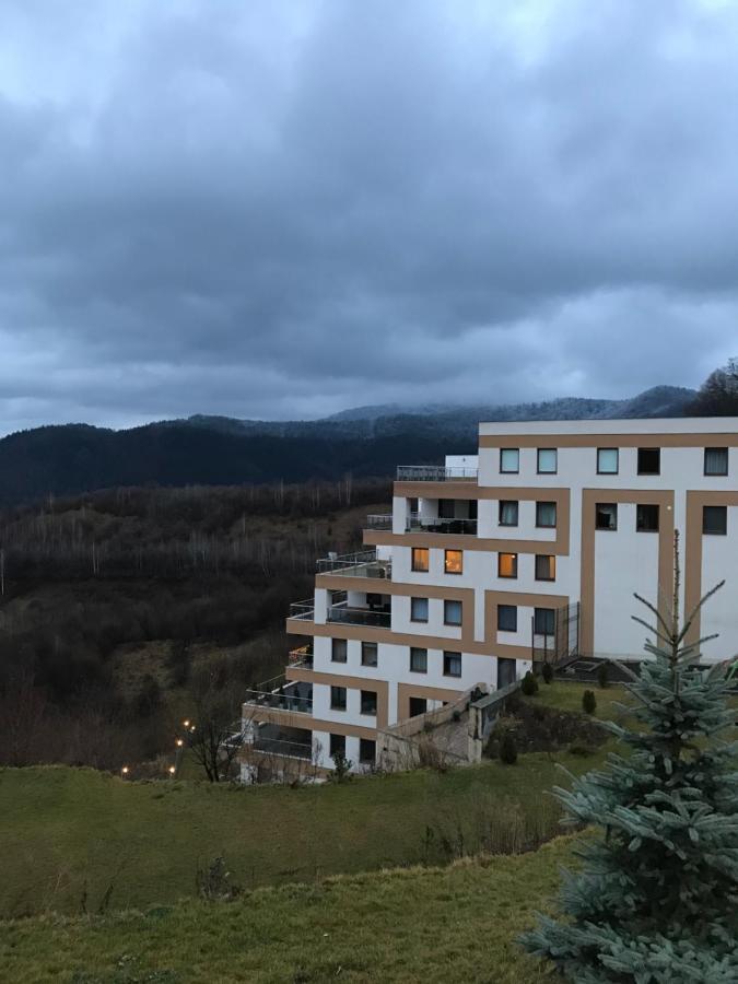White Season Residence Braşov Exterior foto